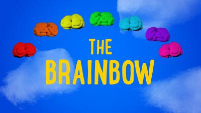 The Brainbow thumbnail